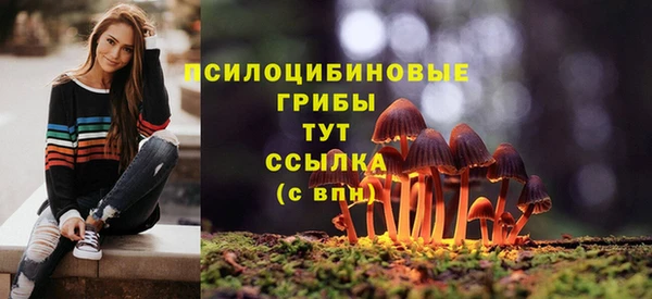 тгк Киренск