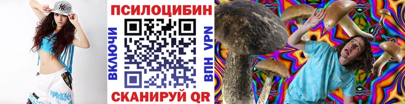 Псилоцибиновые грибы Psilocybine cubensis  Купить закладки  Майкоп 